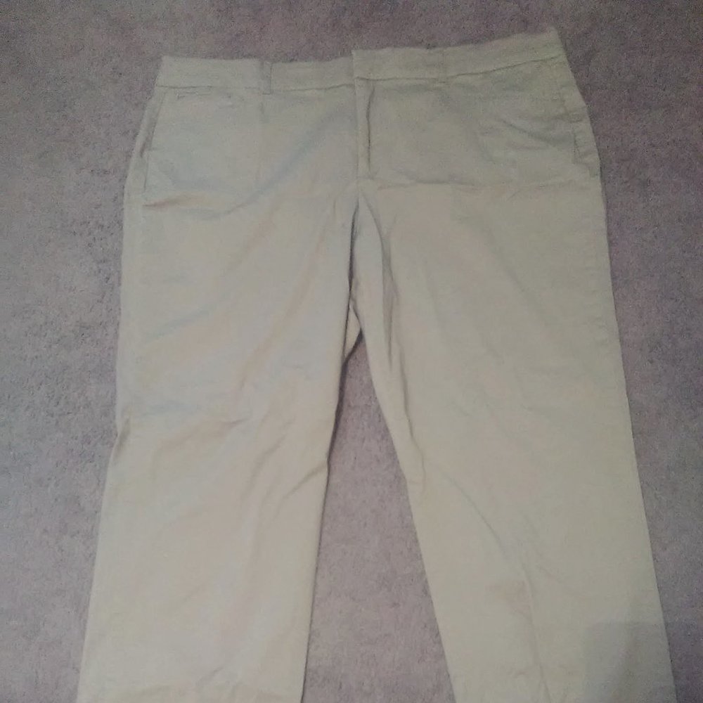 JM Collection Woman's Tan Pants size 22 30" L